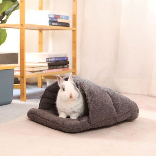 Cat rabbit guinea pig soft - rabbit,
