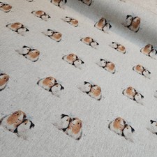 Guinea Pig fabric, per metre