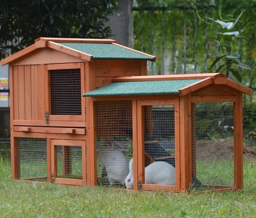 Large rabbit hutch - hutch, in