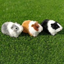 Lifelike Simulation Fur Guinea