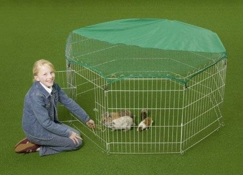 Rabbit guinea pig - 55", /