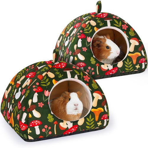 Guinea pig nest - nest, of