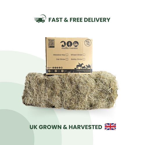 Hay guinea pig rabbit food - guinea,