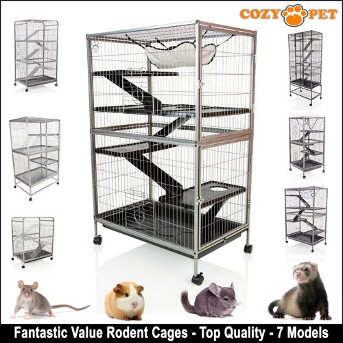 Rodent cage rat - rodent,