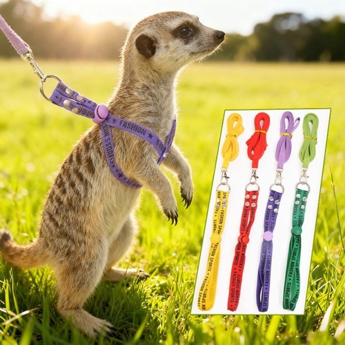 Rabbit towing rope guinea pig - rope,