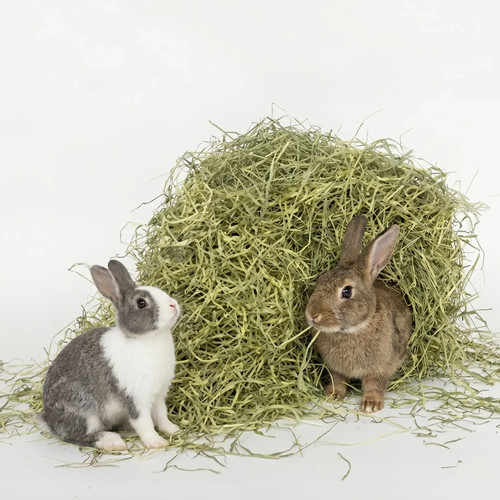 Timothy hay for - hay, rabbits