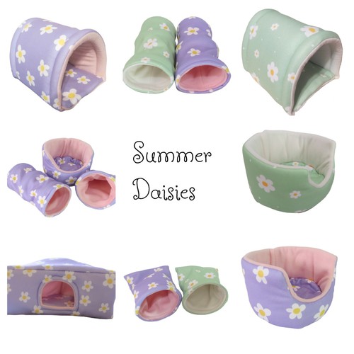 Summer daisies guinea pig - summer,