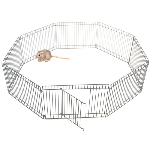 Small pet animal metal - animal, play